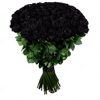 Розы Эквадор черные